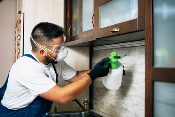 Best Best Pest Control Companies  in Henderson, KY