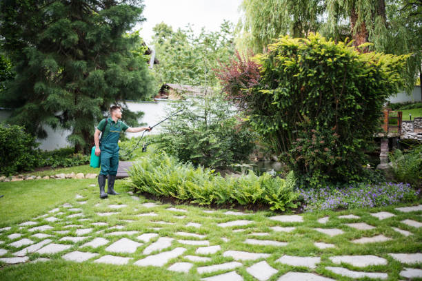 Professional Pest Control in Henderson, KY
