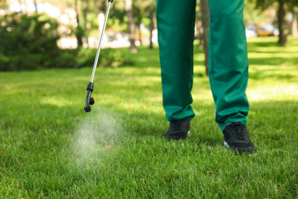 Best Cockroach Control Services  in Henderson, KY