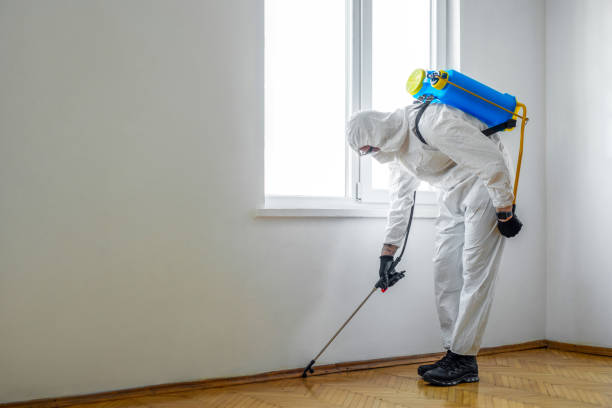 Best Commercial Pest Control Services  in Henderson, KY