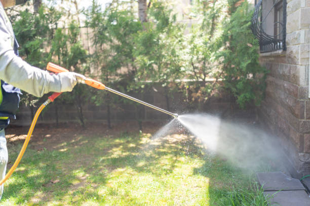 Best Mosquito Control Services  in Henderson, KY