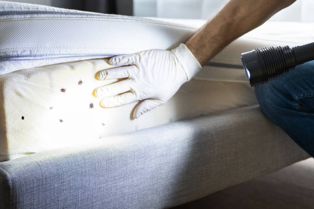 Pest Control Cost in Henderson, KY